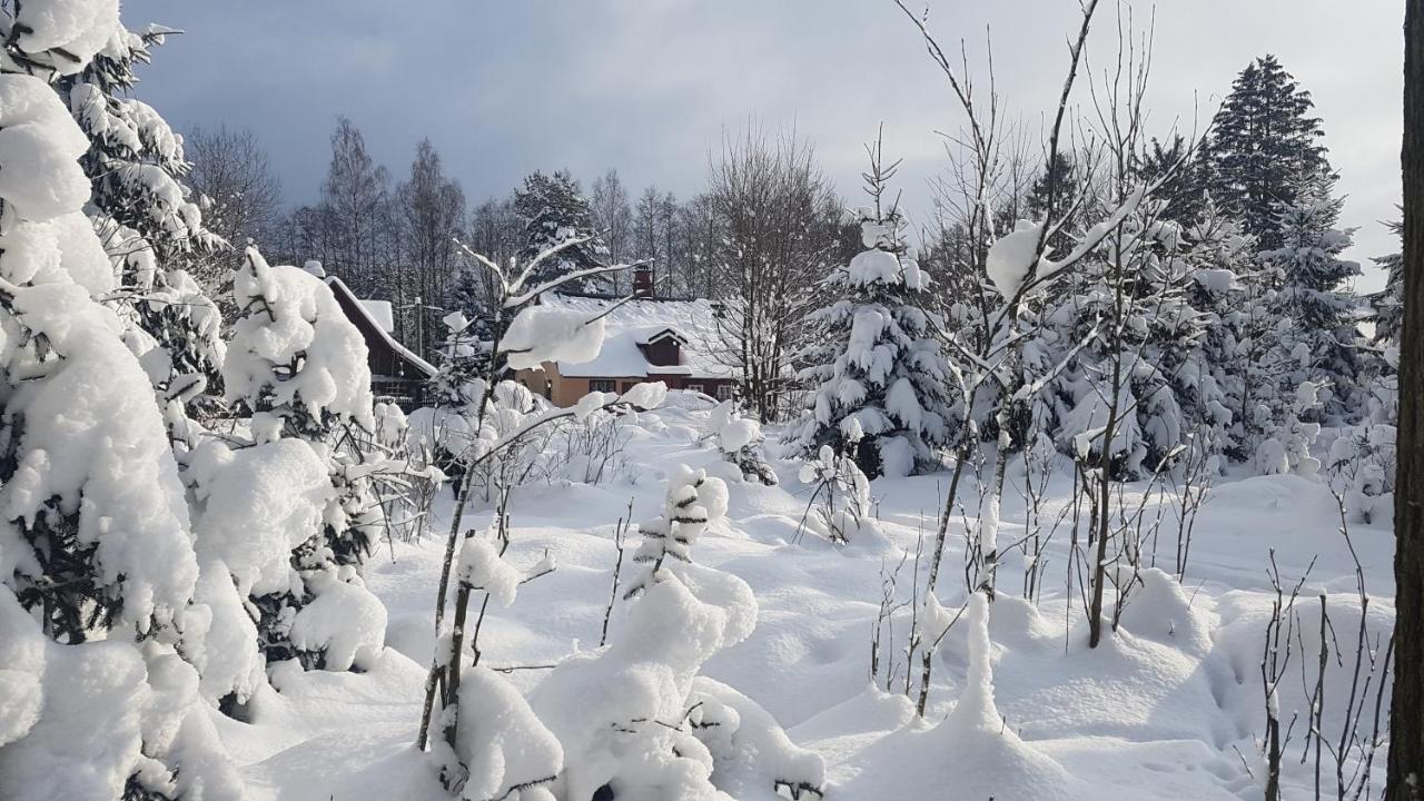 Chalupa U Lesa Červená Voda Buitenkant foto